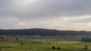 Gîte Forest Tagroumte - Azrou - 5