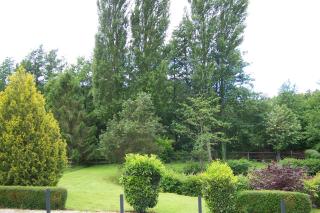GITE Chalet - - 1