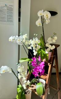 Le Grand Hotel - Forcalquier - 4