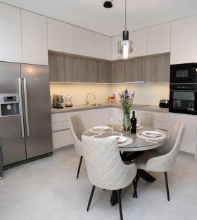 New luxury air-conditioned apartment, with jacuzzi, free parking and gardens - Pula - 4