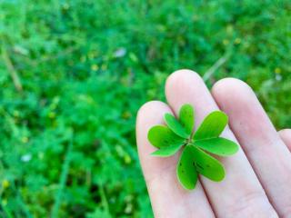 Studio dans résidence calme - 1