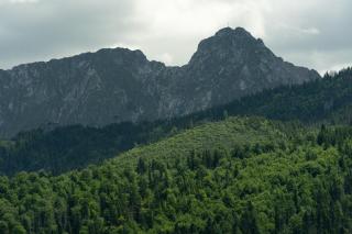 Komfortowy apartament TATRA WIDOK - parking w cenie - 7