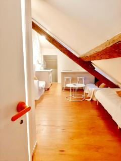 Charmant studio rue piétonne - Thonon-les-Bains - 0