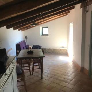 Il Mandorlo - Montecorice - 3