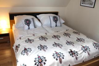 Apartamenty Magnus na Gubałówce - Kościelisko - 7