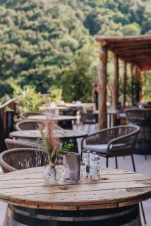 Domaine Santa Margherita - Castellare-di-Casinca - 3