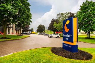 Comfort Inn - Guelph - 8
