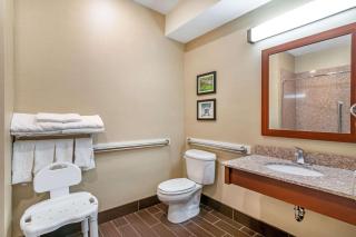 Comfort Suites - Jefferson City - Jefferson City - 3