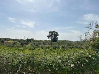 Dar Julia - Sousse - 3