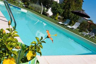 Apartments in Lucca - Toskana 23966 - Lucca - 1