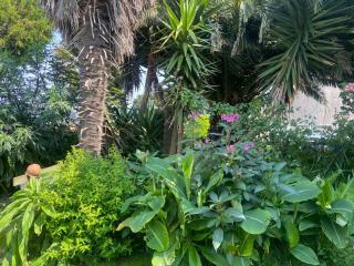 Cottage Bohème - Voyageur Solo - Jardin Partagé - Perros-Guirec - 5