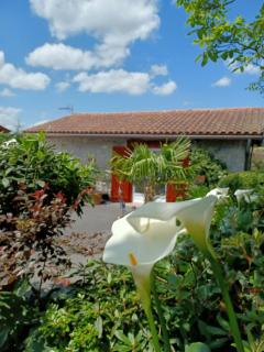 Gite de charme 3* - Saint-Esteben - 0
