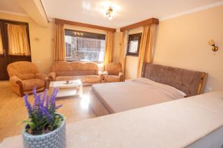 Walter Home Bușteni with Private Terrace - Buşteni - 5