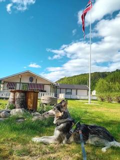 Nordnes Kro og Camping - 3