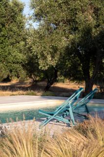 Trullo fiorone with private pool - 1