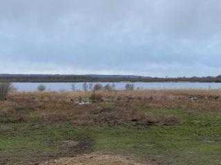 Le Domaine Caribou - Sainte-Opportune-la-Mare - 8