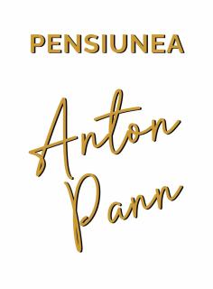 Pensiunea Anton Pann - 9