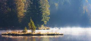 Les Joyeux randonneurs - Xonrupt-Longemer - 5