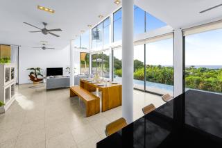 Ignorant Bliss Barbados - 6