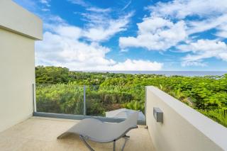 Ignorant Bliss Barbados - 3