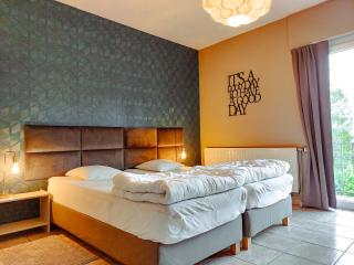 Vue sur la Vallée - Family holiday home in Malmedy with private pool - Malmedy - 9