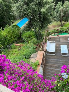 Cottage Punta Ala Residential Area with Pool - Punta Ala - 7