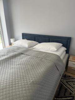 Amon apartament Emilia Strupiechowska - 1