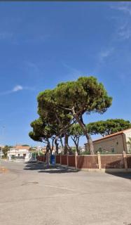 Il Sogno di Calipso - Amendolara - 4