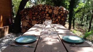 La cabane en bois - Tourves - 7
