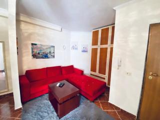 Elite Studio Near US Embassy & the Grand Lake Park - Tirana - 4