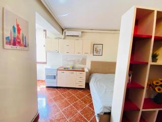 Elite Studio Near US Embassy & the Grand Lake Park - Tirana - 3