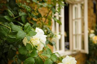 White Horse Inn & Restaurant - Stoke Albany - 8