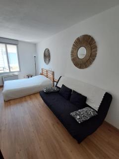 Appartement T1 - Lyon centre - Lyon - 4