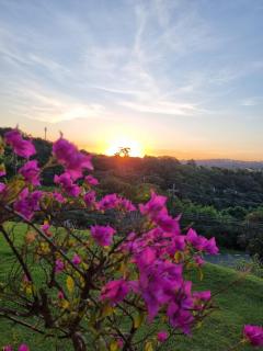 Um paraiso em meio à cidade - Campinas - 4