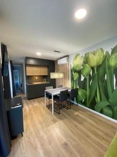 Kertvárosi Apartmanok - Ibrány - 9