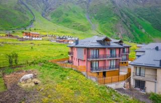 Devdaraki Apartments - Kazbegi - 9