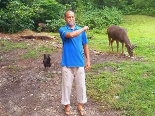 Wild Window - Forest View Homestay - 9