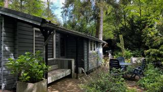 Dreamwoodz - een droomchalet op de Veluwe - Laag-Soeren - 9