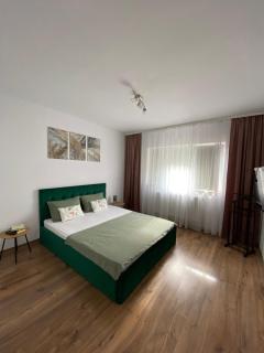 514 DISTRICT - Hunedoara - 6