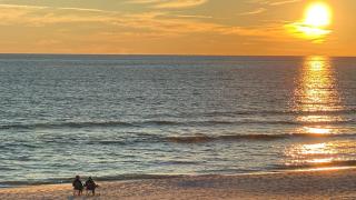 Sunrise Beach 1001 - Panama City Beach - 3