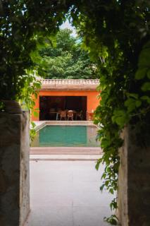 Le jardin des cordeliers - Tarascon - 5