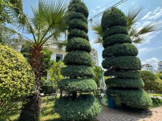 A-Vila - Golem - 1