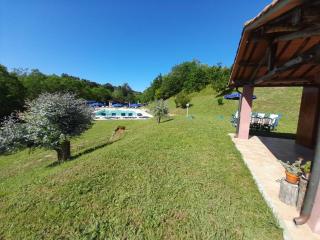 Poggio dei Michelazzi Fauglia - Fauglia - 8