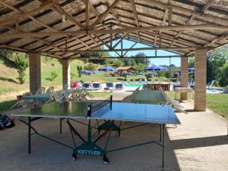 Poggio dei Michelazzi Fauglia - Fauglia - 5