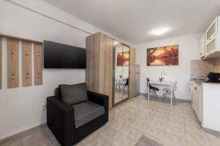 Downtown Victoria Studios By CityBookings - Bucarest - 7