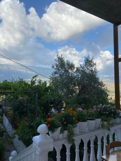 StoneTale Garden Guesthouse - Gjirokastër - 1