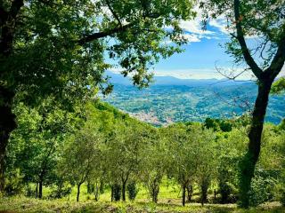 Villa nel verde | civico 2 - Uzzano - 4