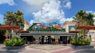 Busch Gardens USF 10 MI to DT Tampa - Tampa - 3