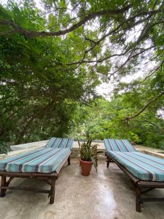 Manta Cottage - Forest view - Galu - 9