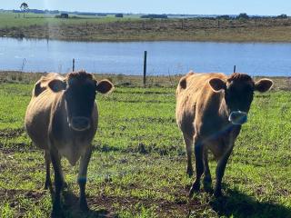 Hotel Fazenda Capao do Indio - 6
